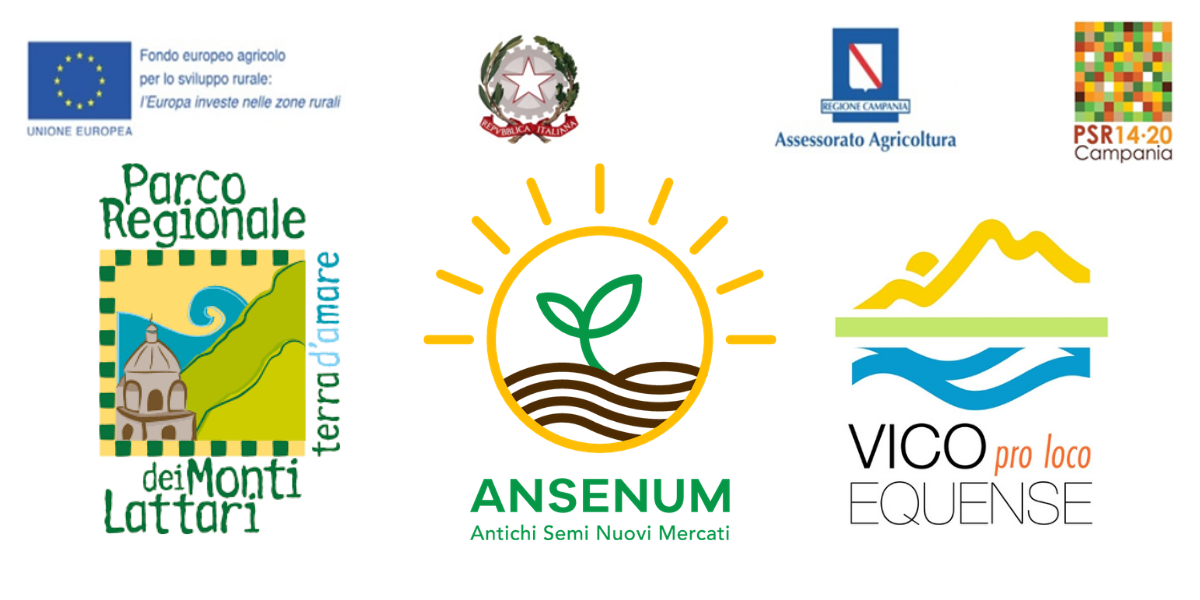 Progetto ANSENUM