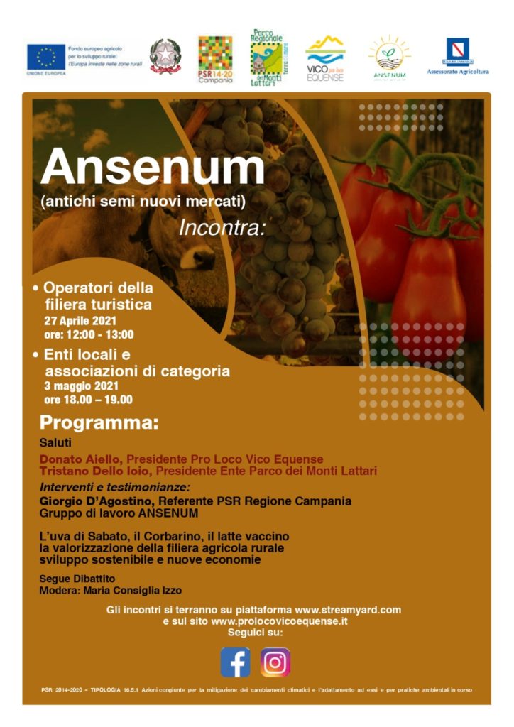 ANSENUM incontra…